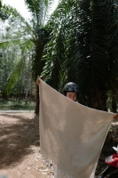 cream turkish towel with fringes